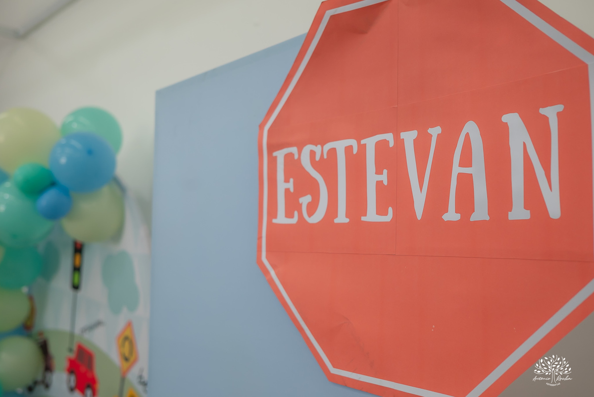 aniversario infantil - fotografia infantil - fotografo de criancas - casa de alice - bolinha de sabao - animacao infantil - parabens emocionante - abelinha - fotografias espontaneas - antonio rocha fotografias - Estevan 2 anos - cacau fest chocolates