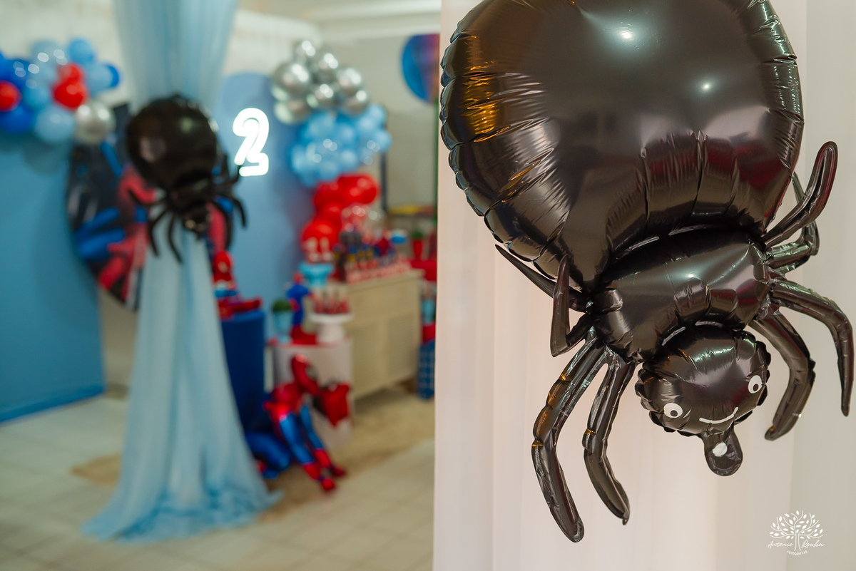 fotografia infantil - festa infantil - aniversário de 2 anos - fotógrafo de família - super-herói - homem-aranha - infância feliz – Camaquã - heranças visuais - fotógrafo de festa infantil - Antonio Rocha Fotografias – Pelotas – Sonho de Criança - irmão