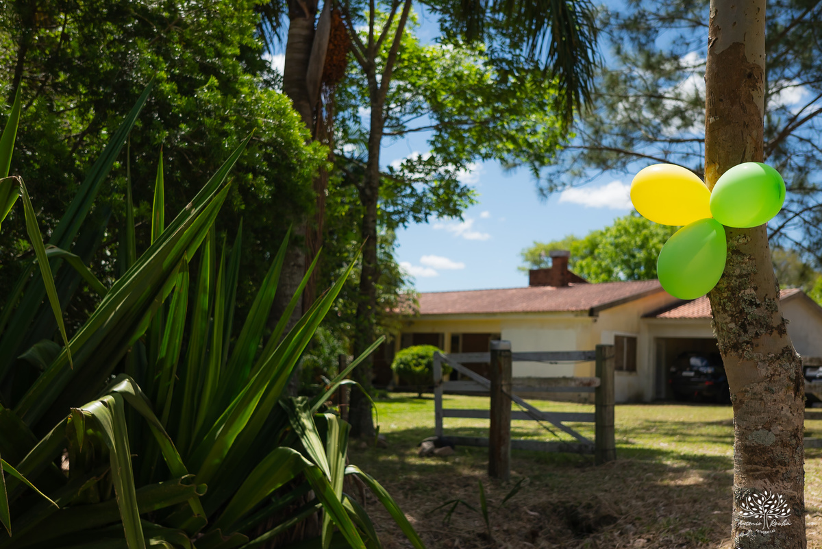 fotografia festa infantil - aniversario no sitio - aniversario ao ar livre - fotografo infantil - festa em familia - fotografia espontanea – sininho - fotografo de festas – antonio rocha fotografias – pelotas – bolo de chocolate - cachorro quente - tobogã