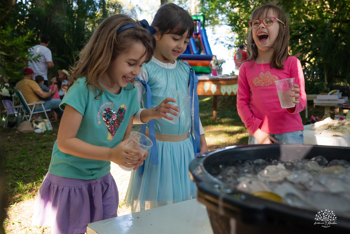 fotografia festa infantil - aniversario no sitio - aniversario ao ar livre - fotografo infantil - festa em familia - fotografia espontanea – sininho - fotografo de festas – antonio rocha fotografias – pelotas – bolo de chocolate - cachorro quente - tobogã