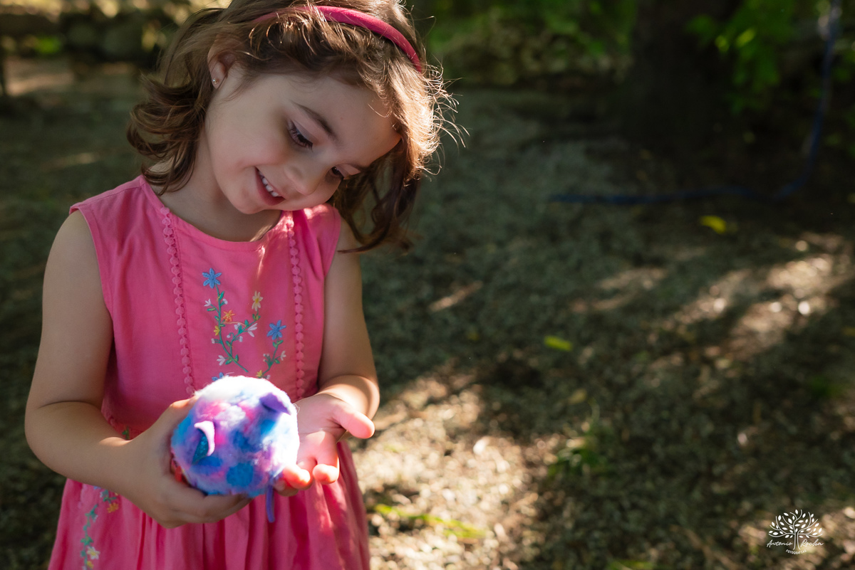 fotografia festa infantil - aniversario no sitio - aniversario ao ar livre - fotografo infantil - festa em familia - fotografia espontanea – sininho - fotografo de festas – antonio rocha fotografias – pelotas – bolo de chocolate - cachorro quente - tobogã