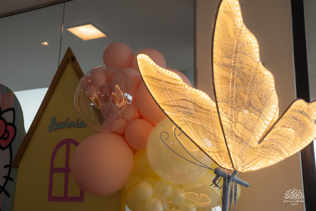 festa infantil - aniversário criança - fotografia infantil - hello kitty - animador roxito-chuva de neve- fotógrafo de festas – Salão Veredas – barraquinhas de kreps – diver kids – buffet de barraquinhas – Pelotas - música ao vivo - doces personalizados