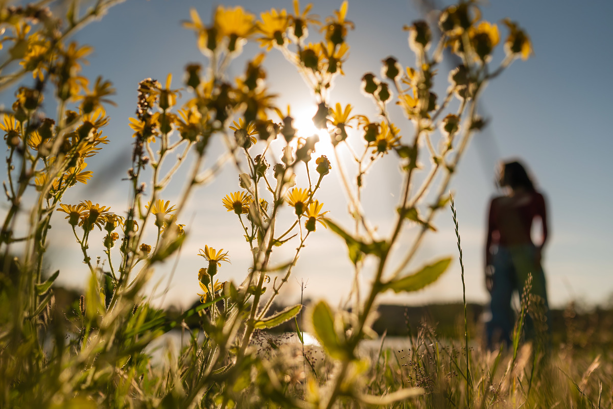 ensaio de 15 anos - fotografia debutante - ensaio feminino - fotografia autoral - ensaio ao ar livre - ensaio em vinícola - Vinícola Nardello - fotografia de 15 anos - debutante com personalidade - fotógrafo de 15 anos - book dos 15 anos - ensaio externo