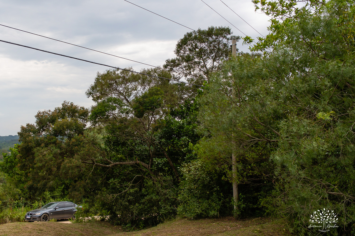 Mayara & Giovani – Casamento – Casamento Cristão – Sítio Santo Amor – Dia do Sim – Buquê – Beijo de Cinema – Deus – Amor – Escolha Mútua – Morro Redondo – Pelotas/RS – RS – @antoniorochafotografias