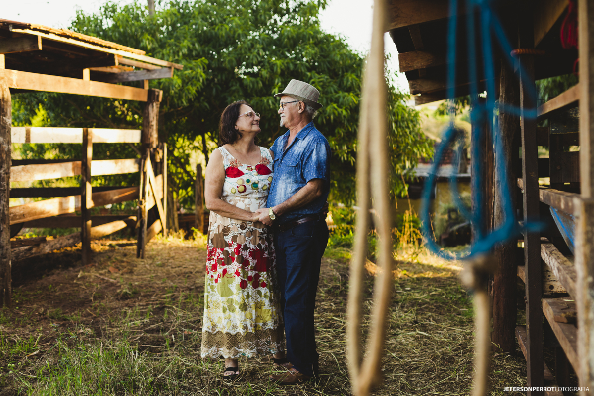 casal de maos dadas em estábulo