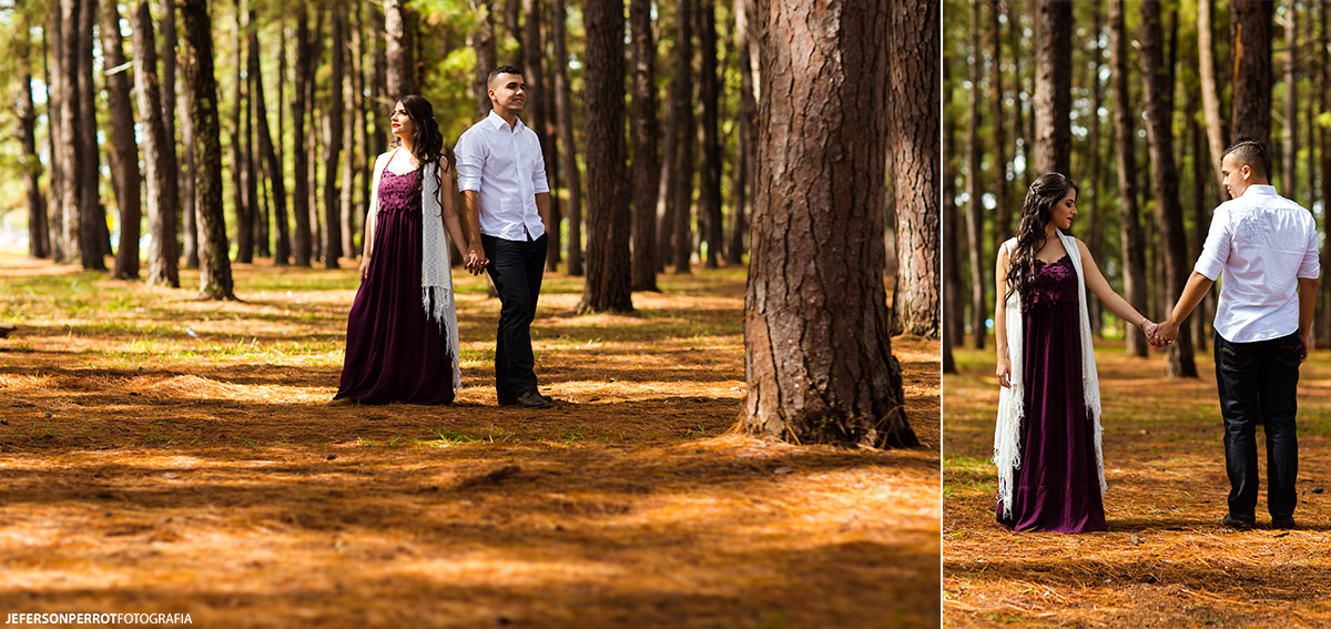 ensaio pre casamento em brasilia distrito federal