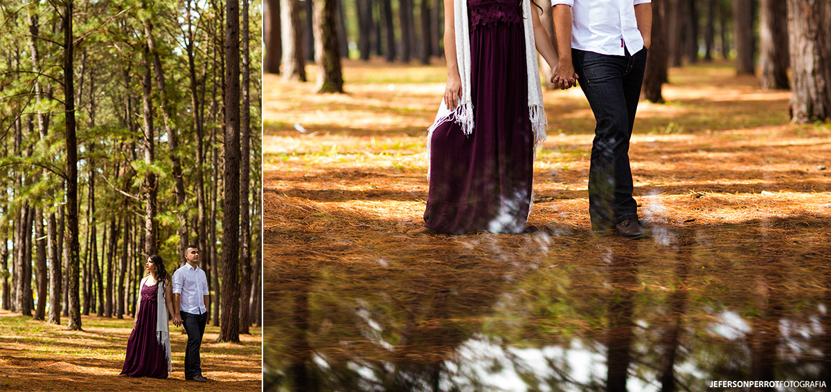 ensaio pre casamento em brasilia distrito federal