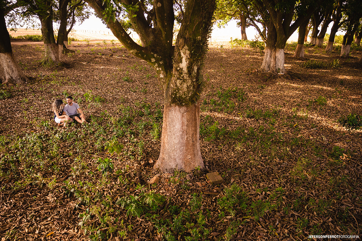 casal sentado em folhas secas em ensaio fotografico na cidade de mandaguacu