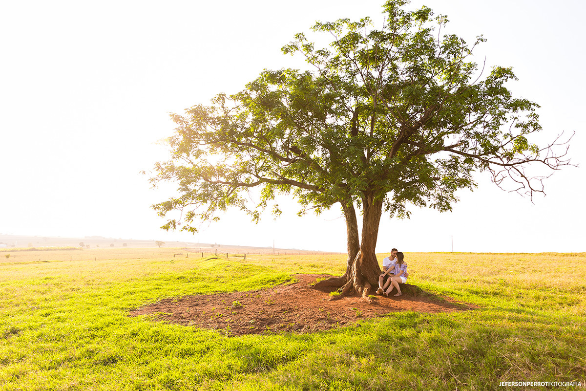 casal sentado ao sol na sombra de uma árvore