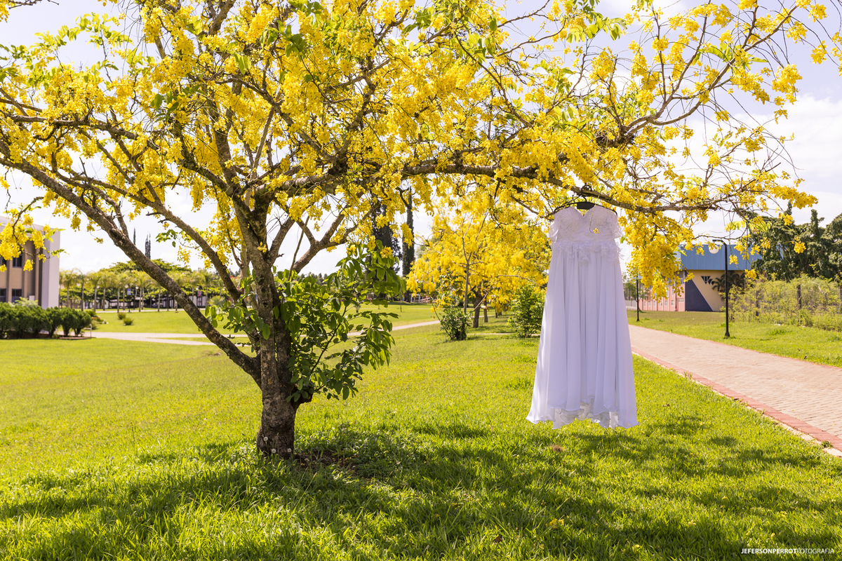 vestido da noiva Manu em uma arvore com folhagem amarela no IAP em ivatuba parana