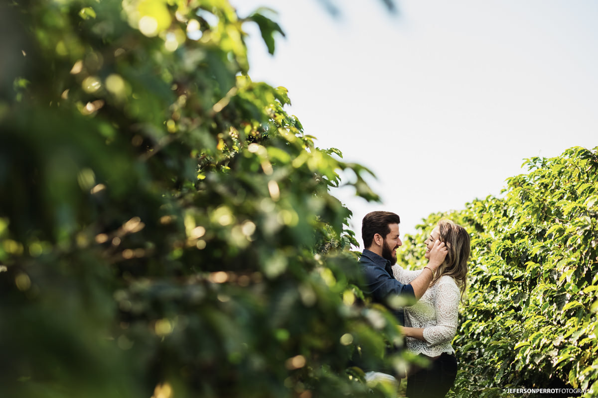ensaio casal plantação de cafe em mandaguari parana