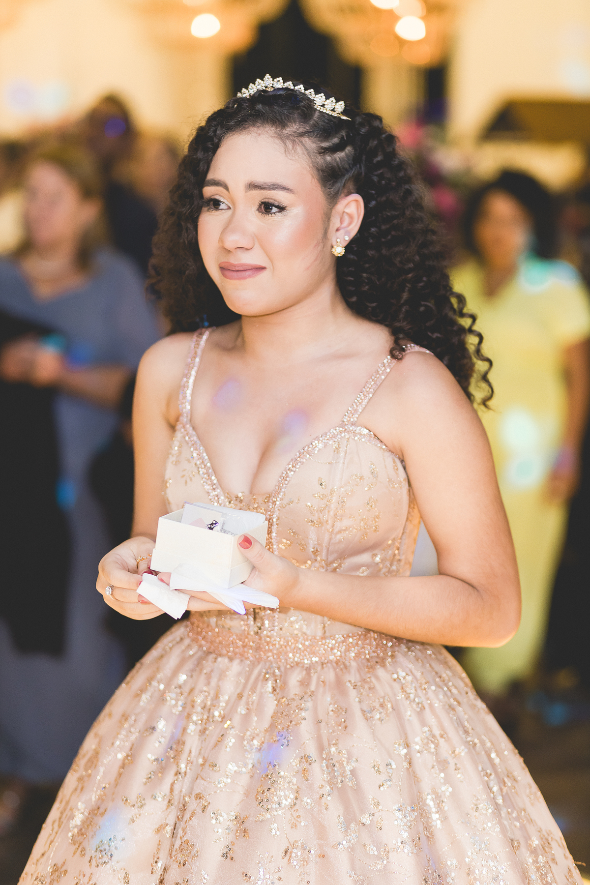 Festa de 15 anos da Maria - Solar imperial