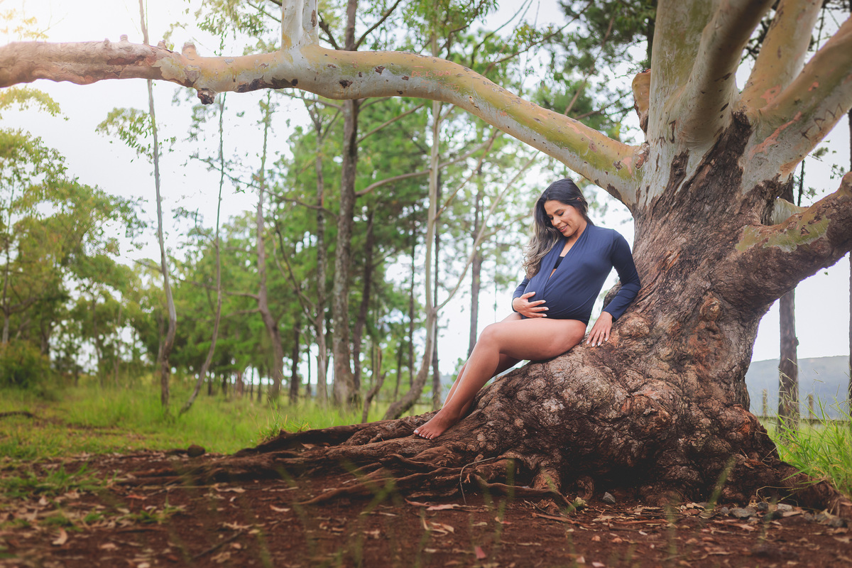 Ensaio Gestante Aline e Henrique - Trilho do Belvedere