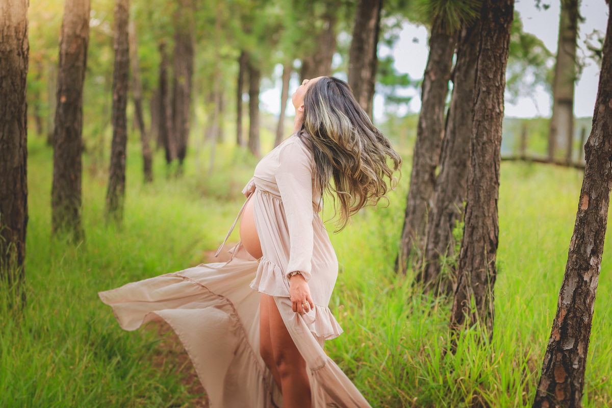 Ensaio Gestante Aline e Henrique - Trilho do Belvedere