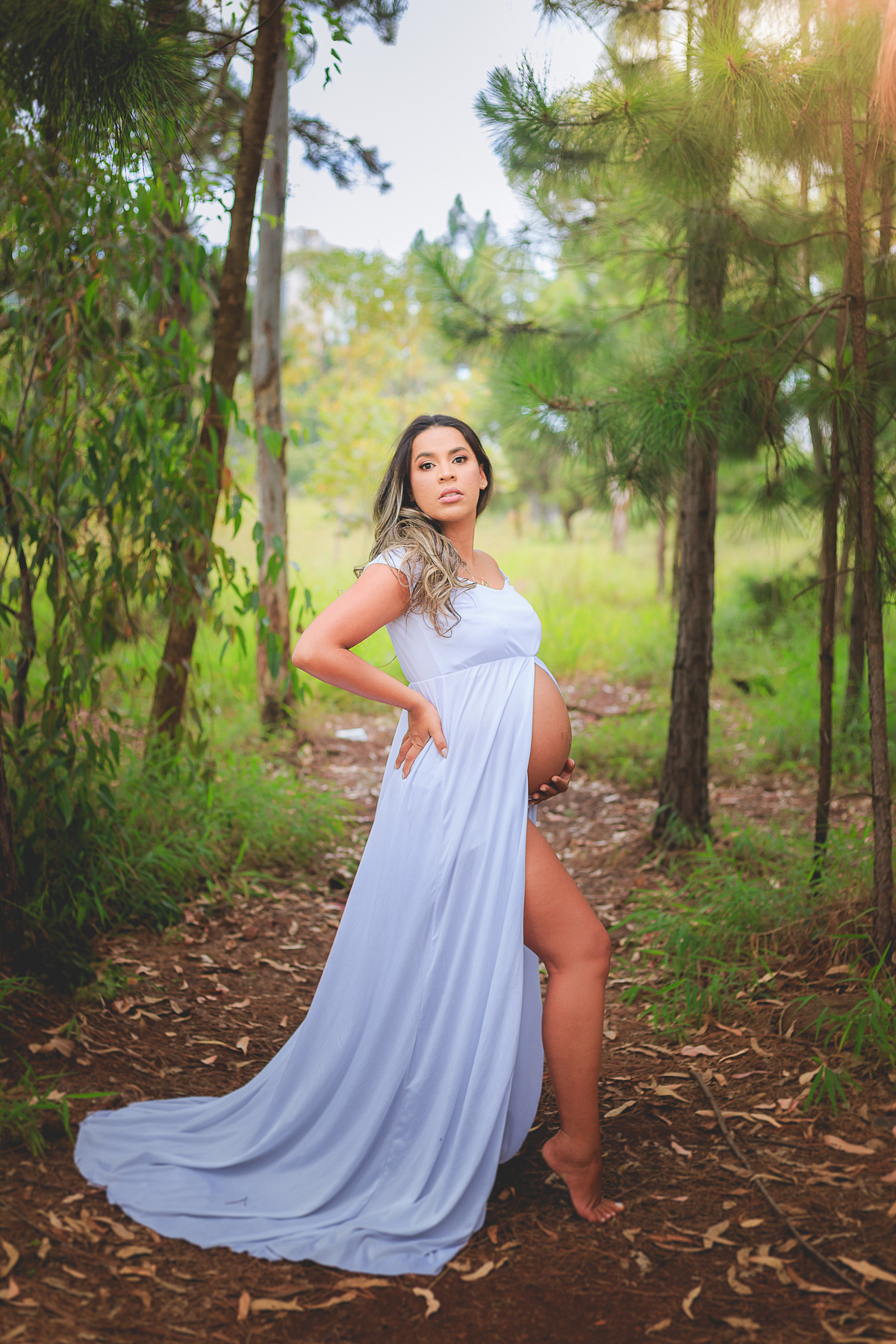 Ensaio Gestante Aline e Henrique - Trilho do Belvedere