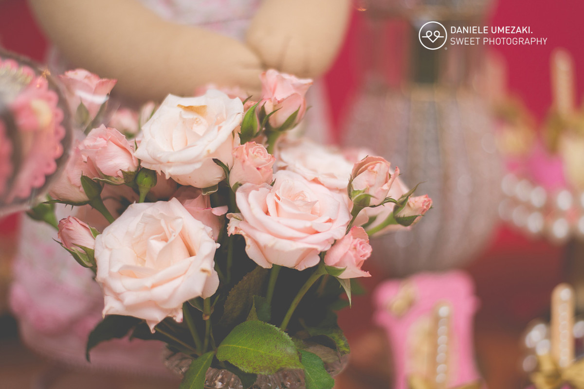 fotografaia mogi das cruzes fotografa mogin das cruzes daniele umezaki aniversário book 1º ano