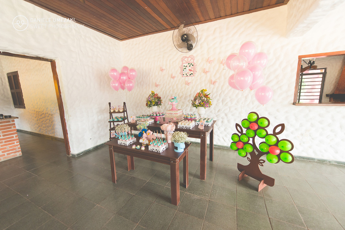 aniversário arujá mogi das cruzes fotografa daniele umezaki sweet photography caountry club festa perfeita decoração 1 ano