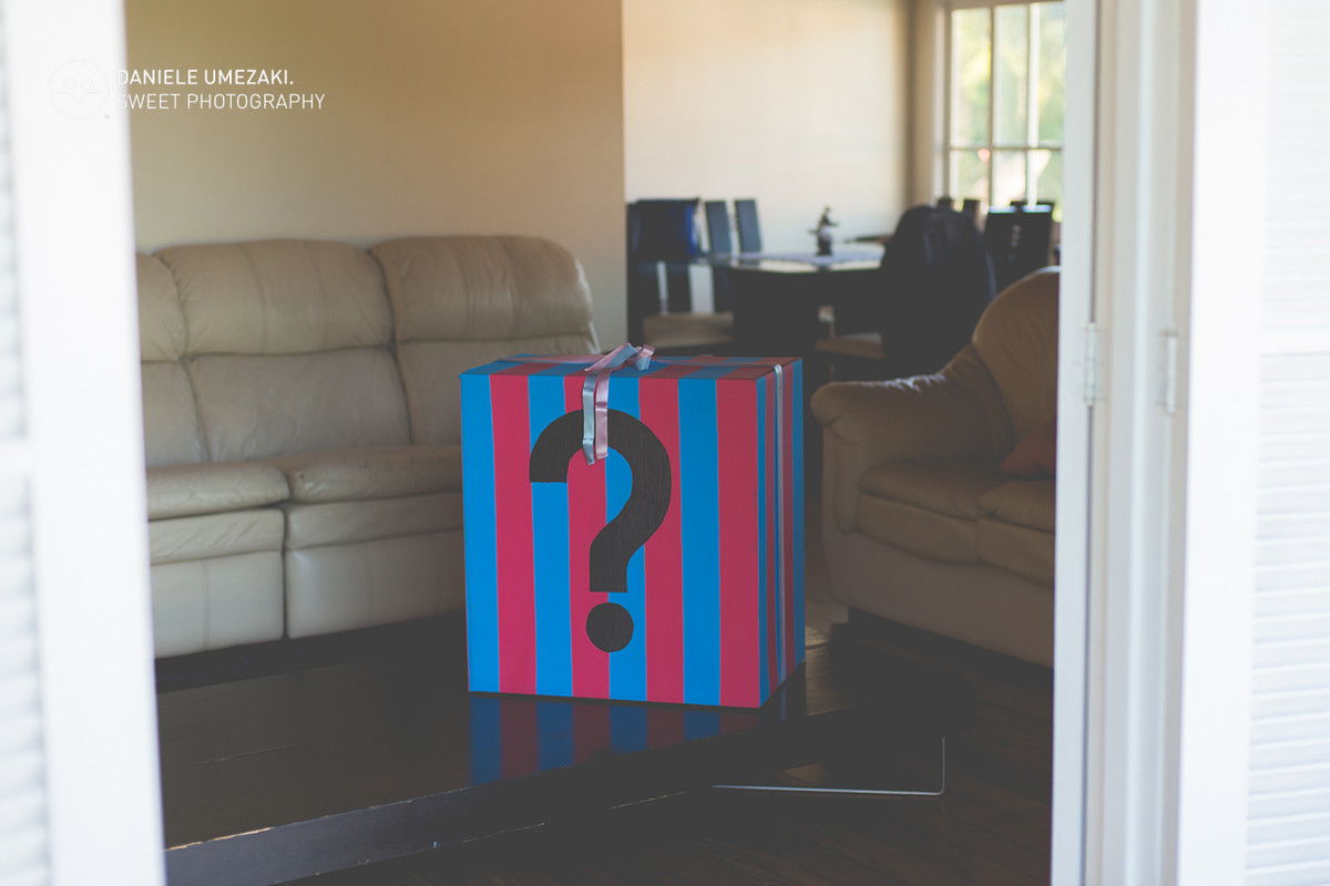 chá revelação guararema fotograda daniele umezaki sweet phtography gestação chá de bebe ensaio newborn mogi das cruzes sitio lindo em guararema