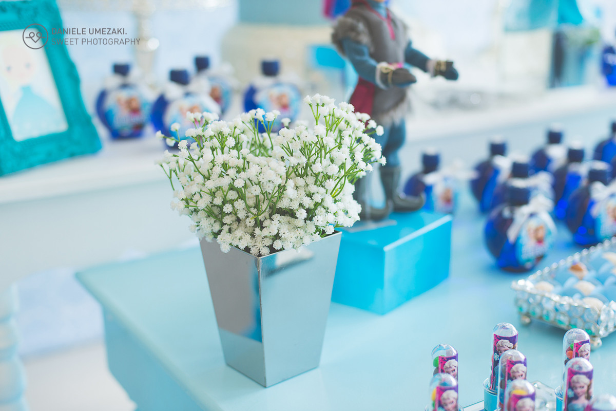 aniversário mogi das cruzes decoração frozen festa sapeca daniele umezaki sweet photography fotografa mogi das cruzes festa aniversário