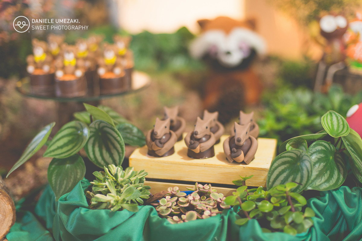 lá na casa da dona joaninha festa personalizada feito com amor fotografia daniele umezaki sweet photography fotograda mogi das cruzes com amor sentimento qualidade festa perfeita  aniversário 01 ano