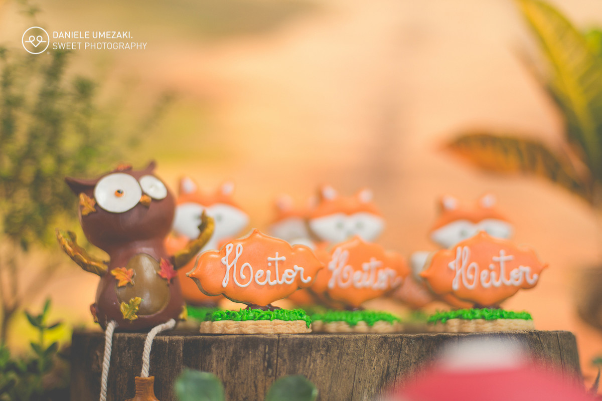 lá na casa da dona joaninha festa personalizada feito com amor fotografia daniele umezaki sweet photography fotograda mogi das cruzes com amor sentimento qualidade festa perfeita  aniversário 01 ano