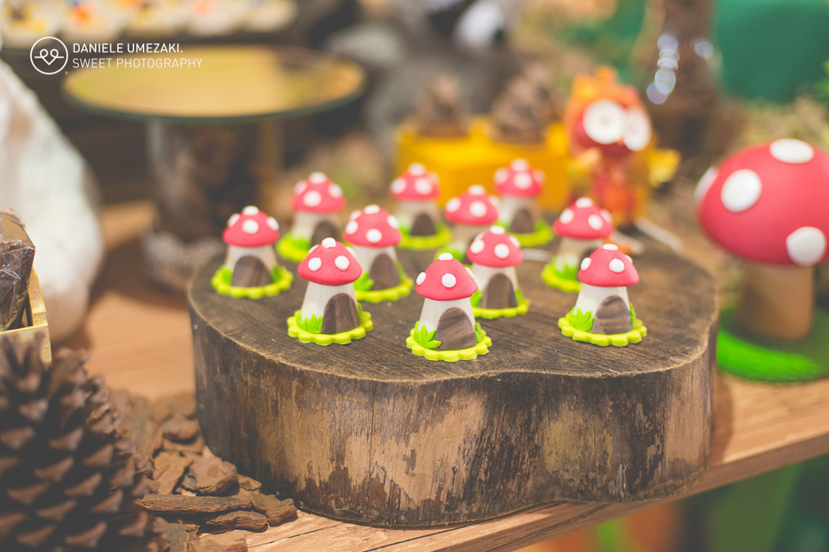 lá na casa da dona joaninha festa personalizada feito com amor fotografia daniele umezaki sweet photography fotograda mogi das cruzes com amor sentimento qualidade festa perfeita  aniversário 01 ano