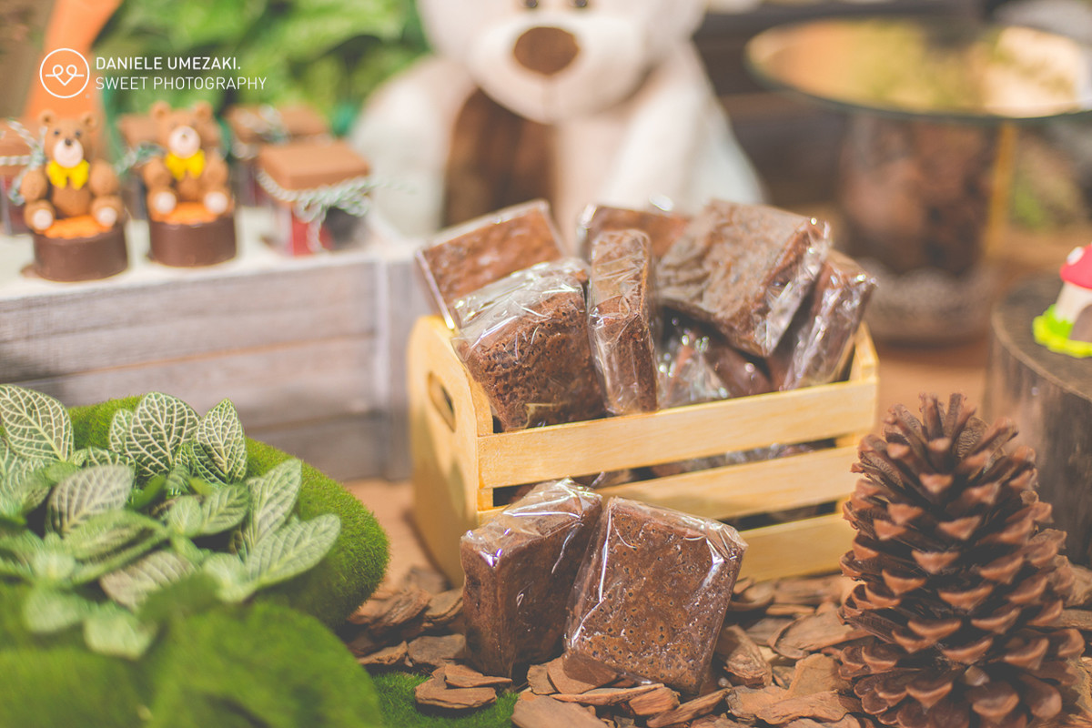 lá na casa da dona joaninha festa personalizada feito com amor fotografia daniele umezaki sweet photography fotograda mogi das cruzes com amor sentimento qualidade festa perfeita  aniversário 01 ano