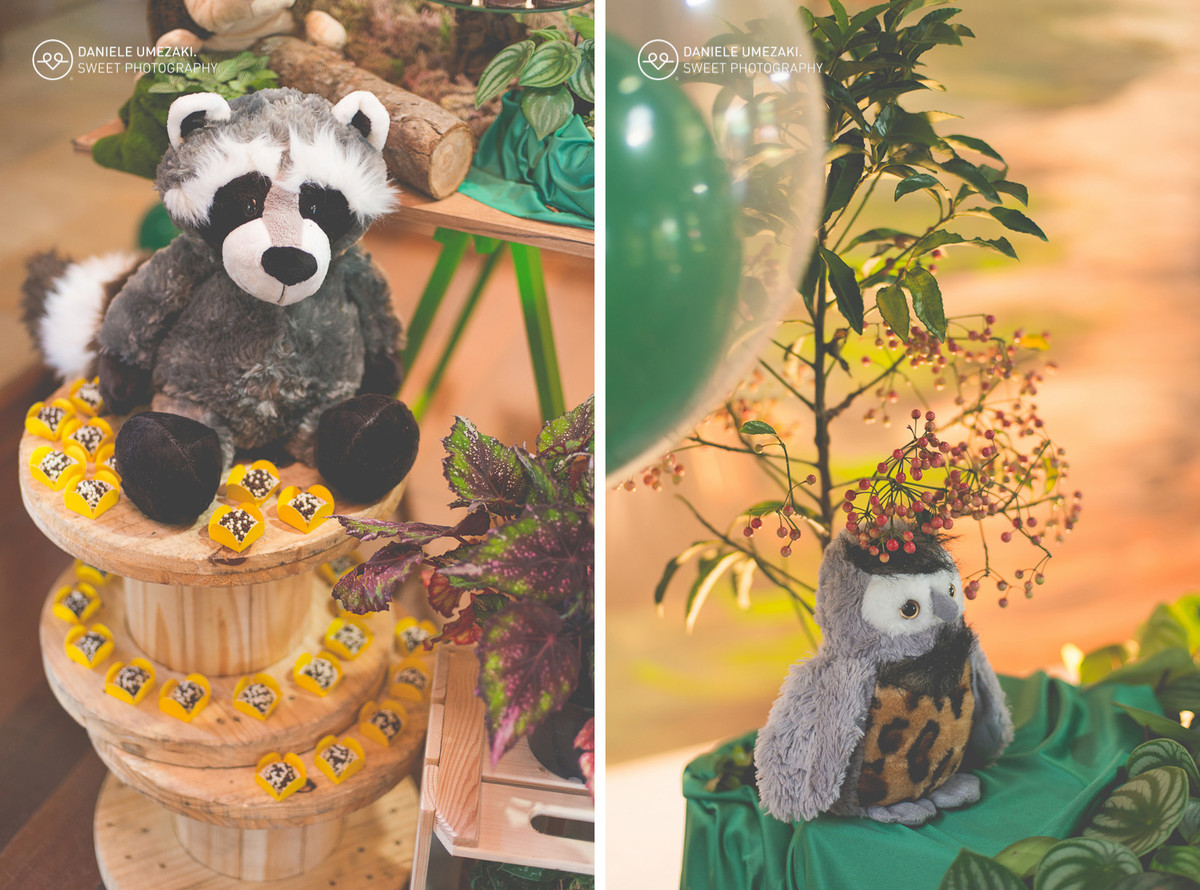 lá na casa da dona joaninha festa personalizada feito com amor fotografia daniele umezaki sweet photography fotograda mogi das cruzes com amor sentimento qualidade festa perfeita  aniversário 01 ano