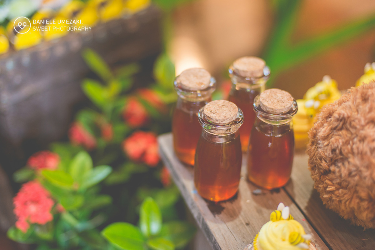 lá na casa da dona joaninha festa personalizada feito com amor fotografia daniele umezaki sweet photography fotograda mogi das cruzes com amor sentimento qualidade festa perfeita  aniversário 01 ano