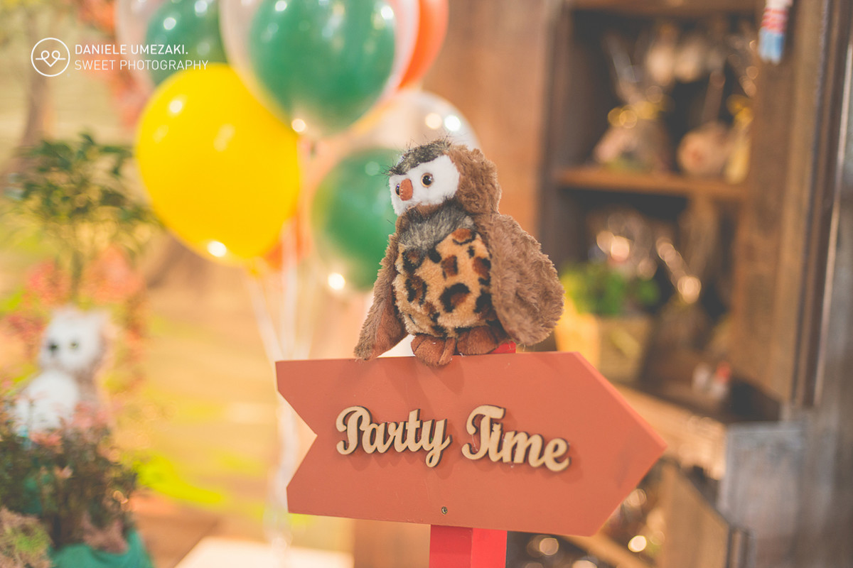 lá na casa da dona joaninha festa personalizada feito com amor fotografia daniele umezaki sweet photography fotograda mogi das cruzes com amor sentimento qualidade festa perfeita  aniversário 01 ano