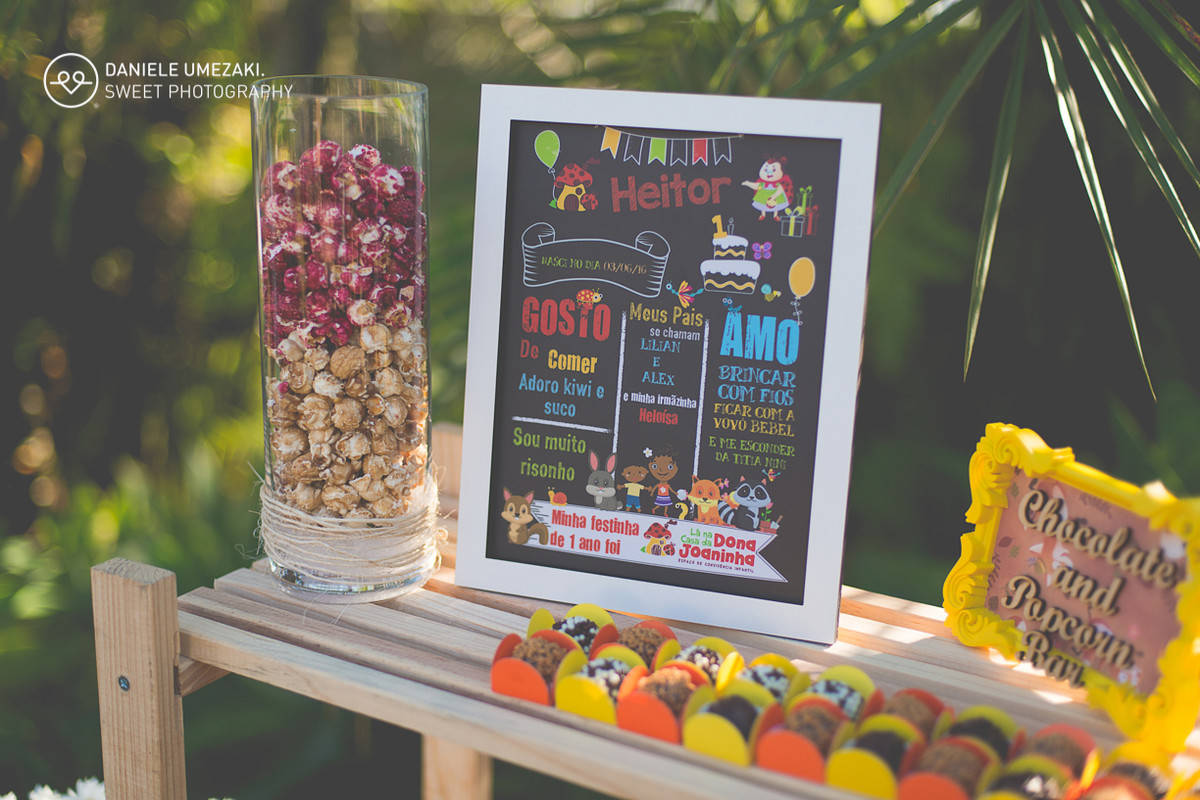lá na casa da dona joaninha festa personalizada feito com amor fotografia daniele umezaki sweet photography fotograda mogi das cruzes com amor sentimento qualidade festa perfeita  aniversário 01 ano