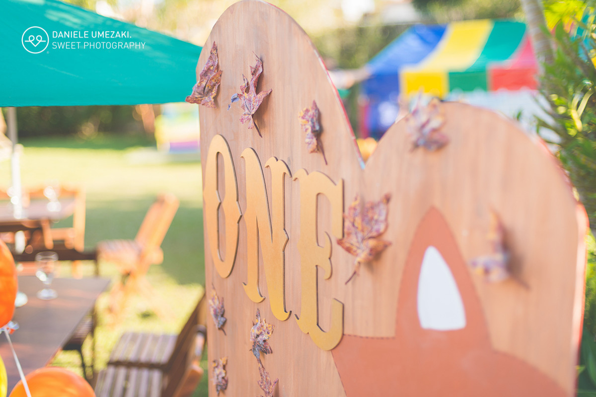 lá na casa da dona joaninha festa personalizada feito com amor fotografia daniele umezaki sweet photography fotograda mogi das cruzes com amor sentimento qualidade festa perfeita  aniversário 01 ano