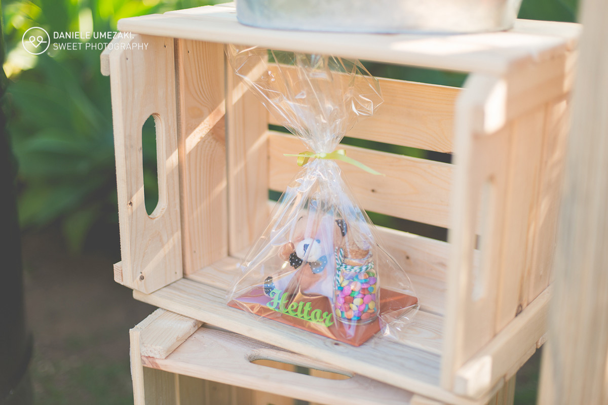 lá na casa da dona joaninha festa personalizada feito com amor fotografia daniele umezaki sweet photography fotograda mogi das cruzes com amor sentimento qualidade festa perfeita  aniversário 01 ano