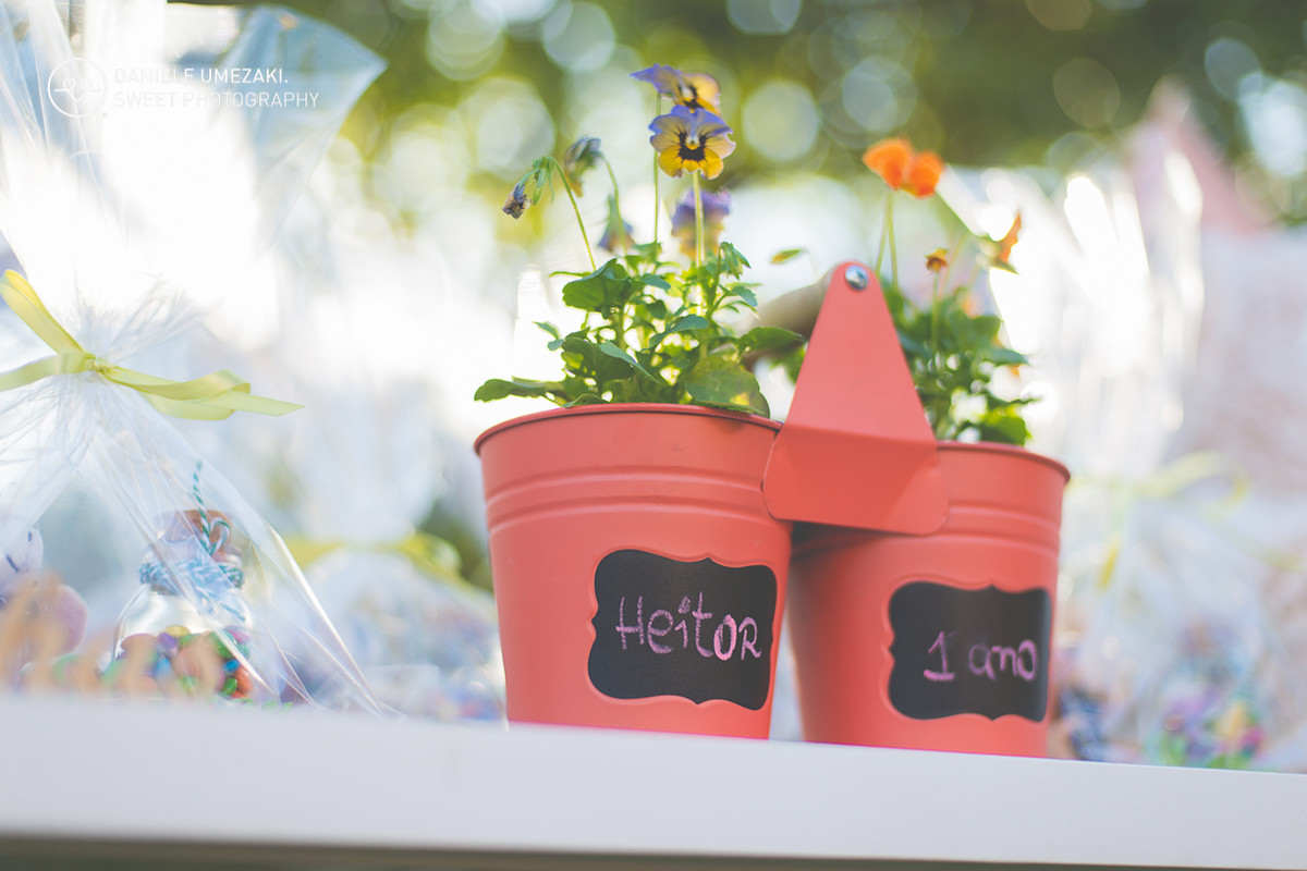 lá na casa da dona joaninha festa personalizada feito com amor fotografia daniele umezaki sweet photography fotograda mogi das cruzes com amor sentimento qualidade festa perfeita  aniversário 01 ano