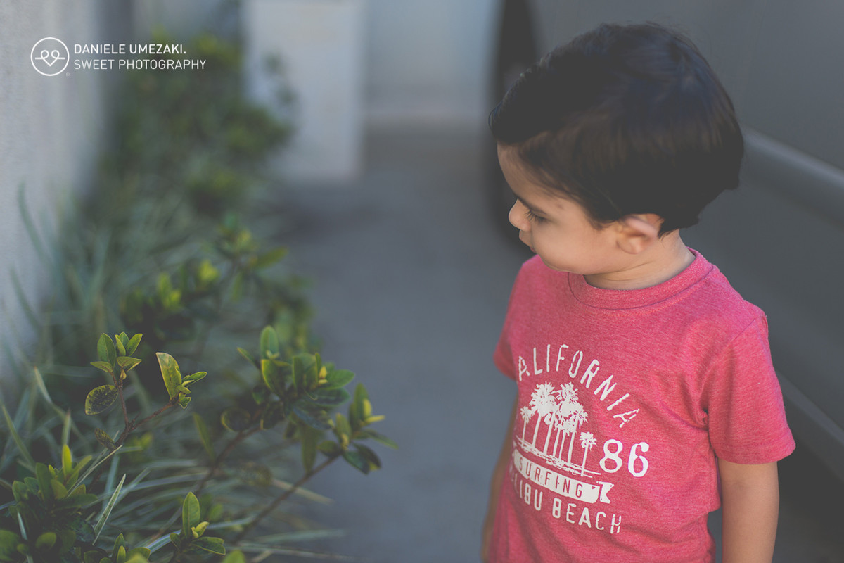 festa mogi das cruzes aniversário fotografa daniele umezaki festa sapeca decoração patrulha canina salão de festas