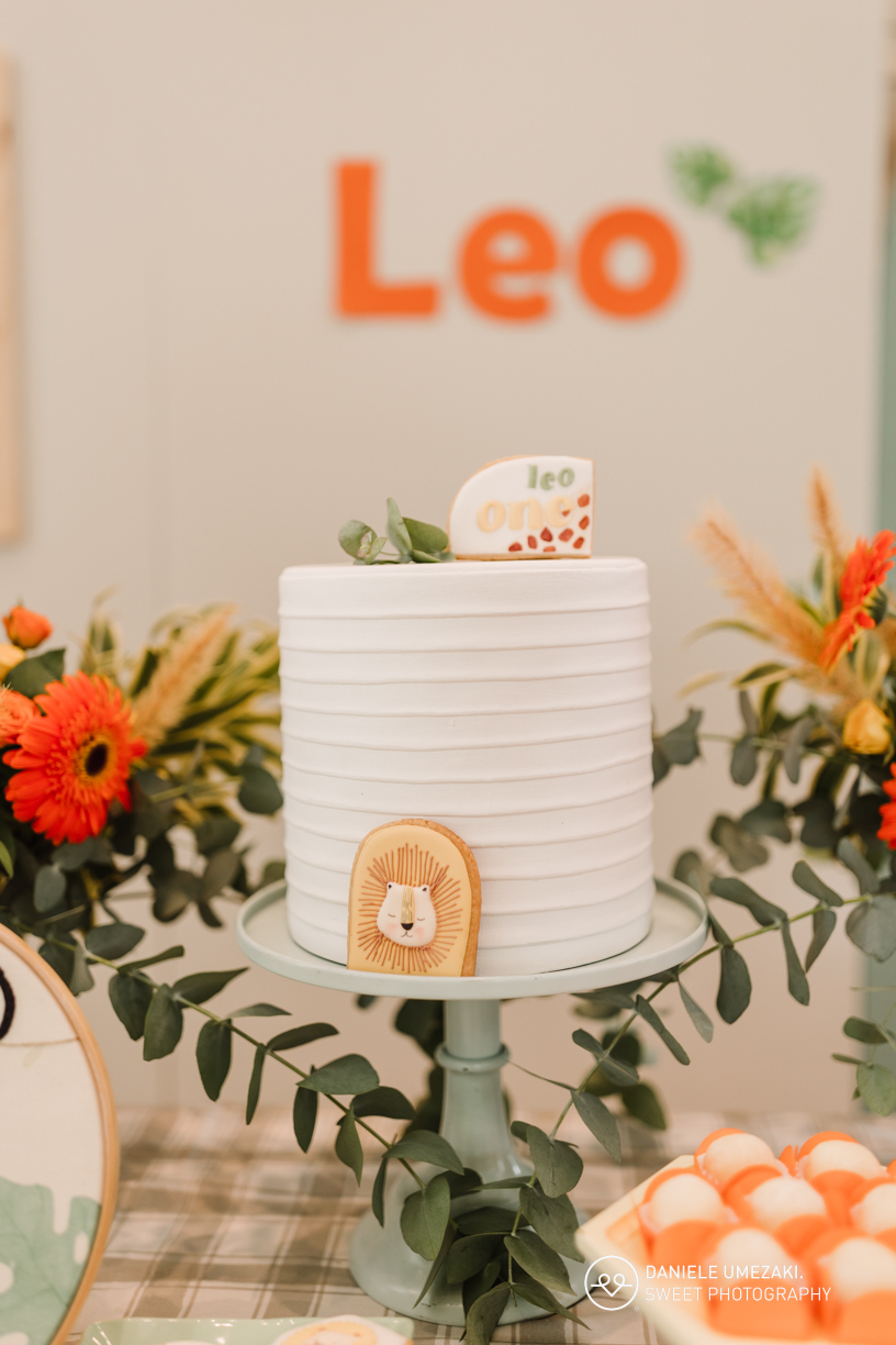 fotografa de aniversário infatil em mogi das cruzes - sp daniele umezaki