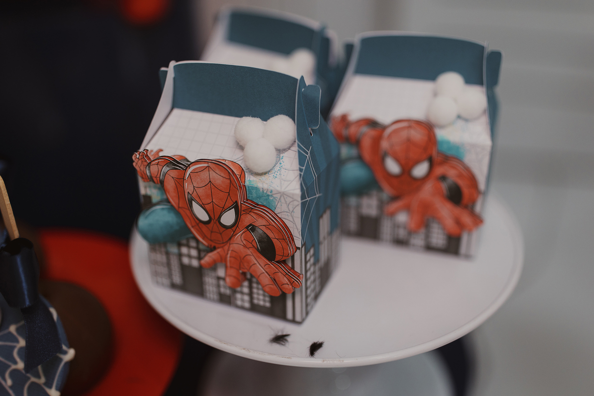 Aniversário infantil em Mogi das Cruzes com tema Homem-Aranha no Buffet Vira Sapeka. Fotografo essa família desde o primeiro aninho do Pedro. Festa linda, decorada pela Doce de Laço. Momentos cheios de afeto e verdade registrados com muito amor.