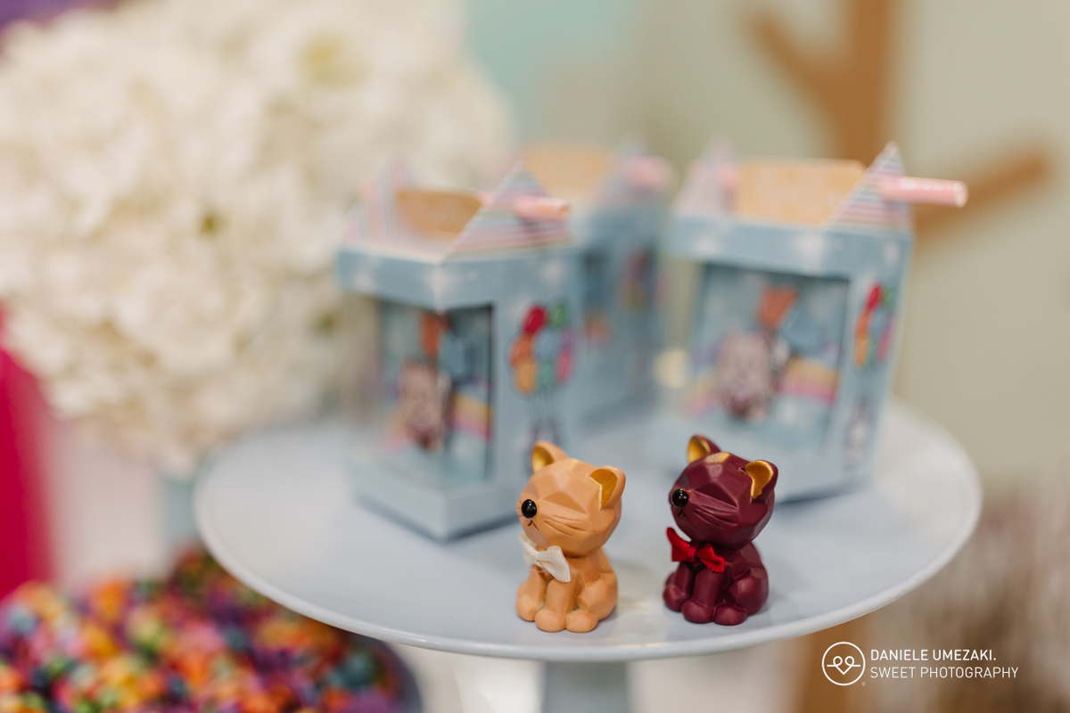  fotografia de aniversário em Mogi das Cruzes, ensaio infantil Mogi das Cruzes, fotógrafo de festa infantil, cobertura fotográfica de aniversário em Mogi das Cruzes