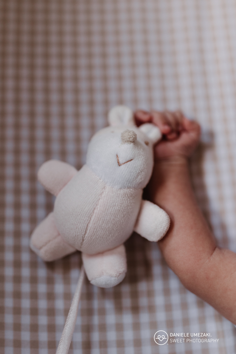 ensaio newborn mogi das cruzes, fotografia newborn mogi das cruzes, ensaio newborn lifestyle mogi das cruzes, fotógrafo newborn mogi das cruzes, fotos de recém-nascido mogi das cruzes, newborn lifestyle mogi das cruzes, ensaio bebê mogi das cruzes, ensaio