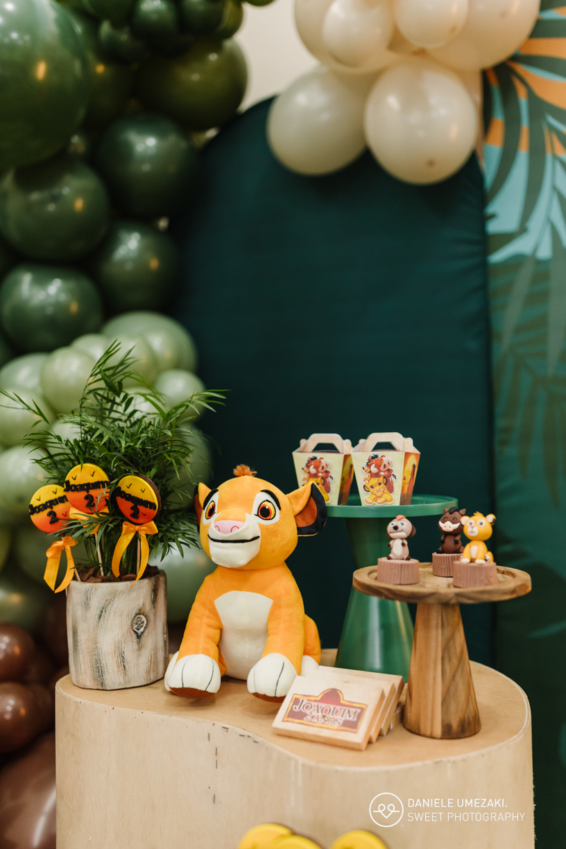 Fotografia de aniversário infantil, Fotógrafa em Mogi das Cruzes, Aniversário infantil Mogi das Cruzes, Festa infantil Mogi, Fotografia de festa infantil, Fotógrafo para aniversário infantil, Smash the Cake Mogi, Fotografia profissional infantil, Registro