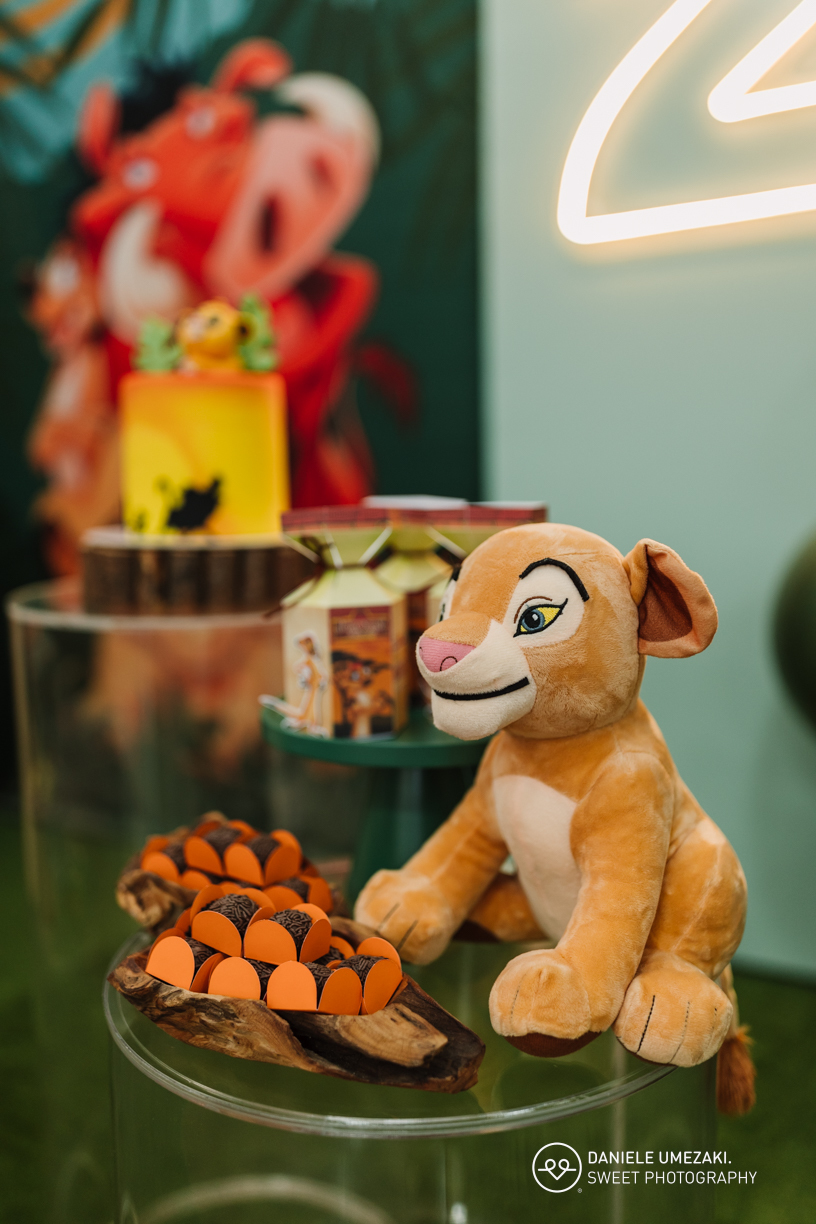 Fotografia de aniversário infantil, Fotógrafa em Mogi das Cruzes, Aniversário infantil Mogi das Cruzes, Festa infantil Mogi, Fotografia de festa infantil, Fotógrafo para aniversário infantil, Smash the Cake Mogi, Fotografia profissional infantil, Registro