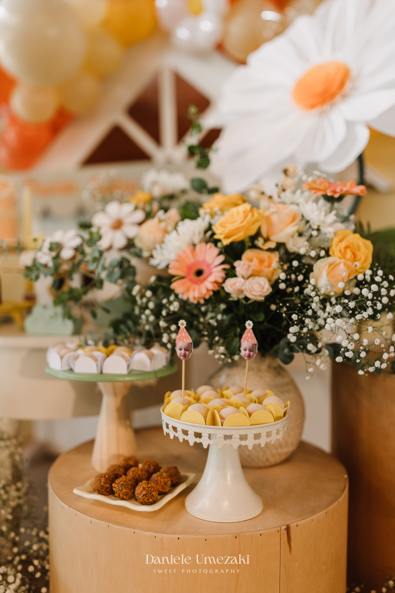 Fotógrafa em Mogi das Cruzes especializada em aniversários infantis. Festa de 1 ano registrada com olhar sensível, luz natural e decoração delicada. Cada detalhe transformado em memórias afetivas com fotos profissionais e cheias de emoção