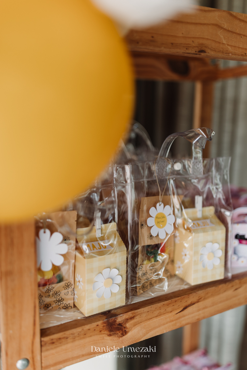 Decoração delicada, luz suave e fotografia profissional em Mogi das Cruzes. Cada detalhe da festa de 1 ano foi registrado com sensibilidade para transformar o aniversário em uma lembrança eterna cheia de significado e beleza