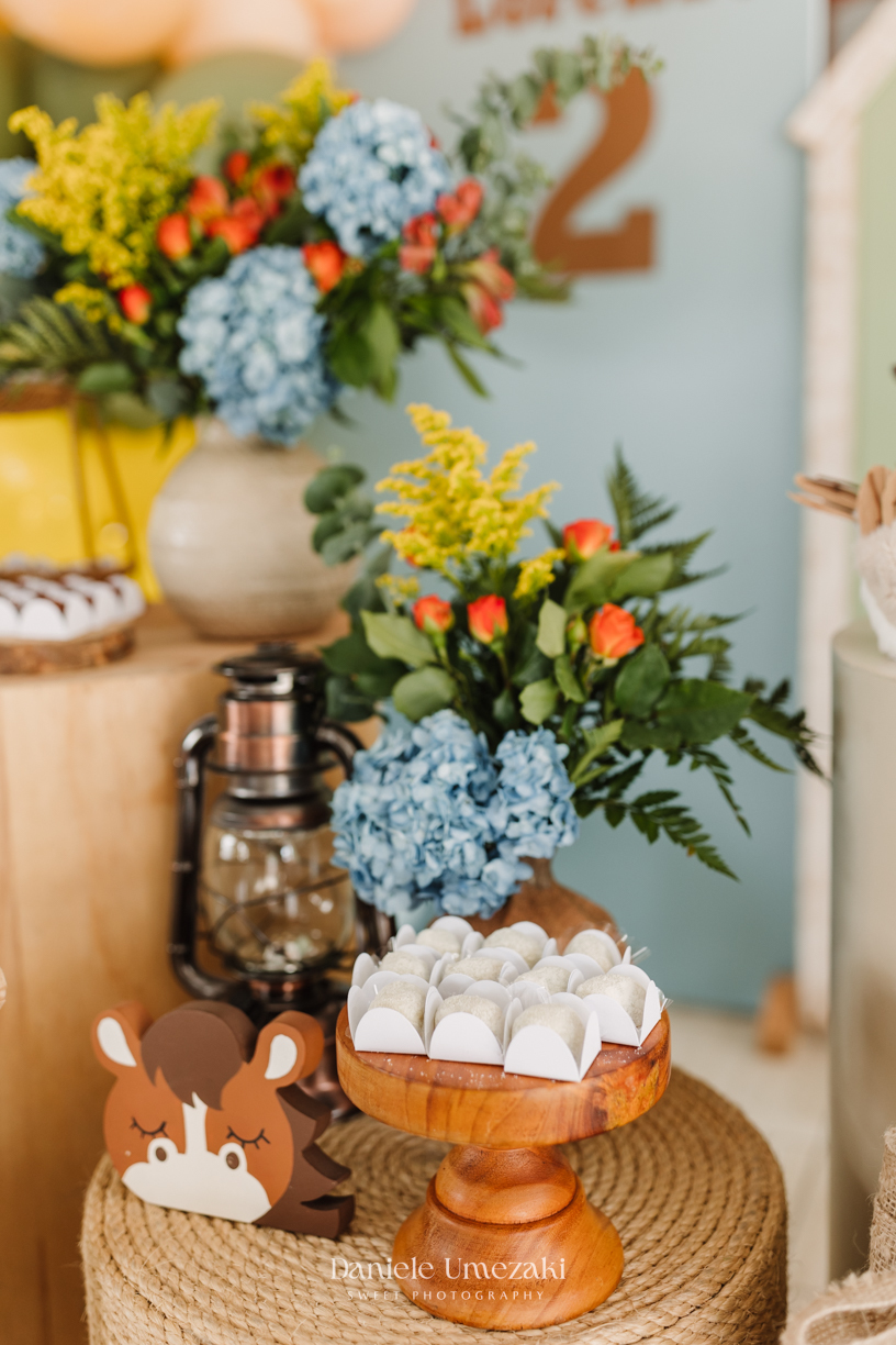 Lorenzo e Gustavo comemoraram juntos com uma festa fazendinha linda e cheia de alegria em Mogi das Cruzes. Decoração da Cerejeira Decora e registro de Dani Umezaki. fotografia de aniversário em Mogi das Cruzes, festa infantil fazendinha, fotógrafa Mogi