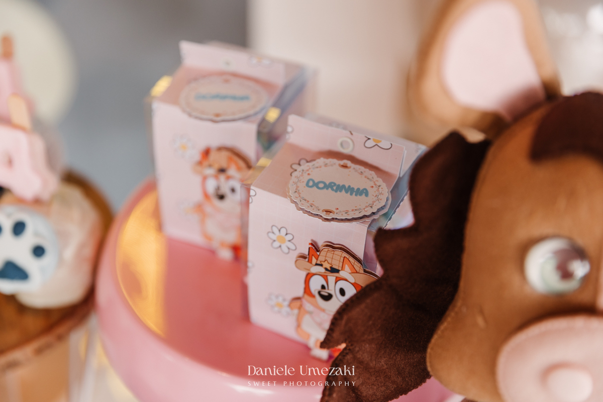 Fotografia do aniversário de 4 anos da Isadora, realizado na Fazendinha Petzoo em Cotia. Festa com tema Fazendinha da Bluey, decoração da Doce de Laço, ambiente ao ar livre e momentos espontâneos registrados com sensibilidade e afeto.