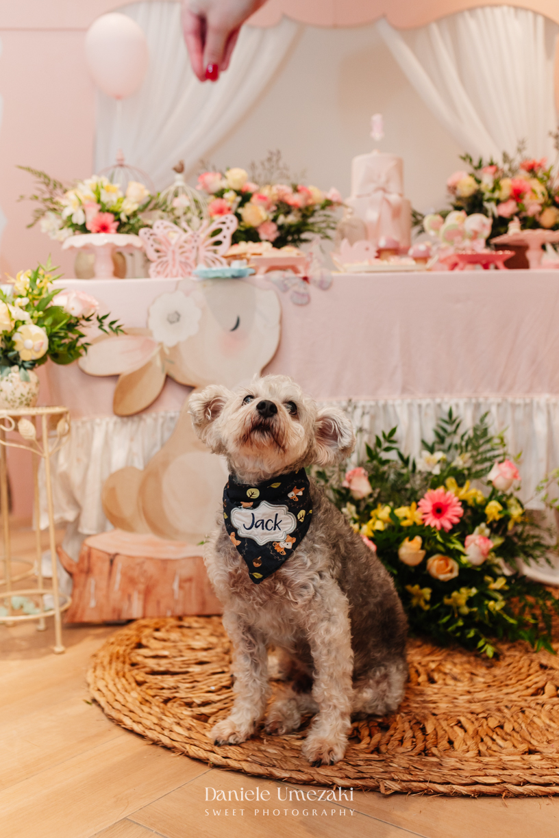 Fotógrafa de aniversário infantil em Mogi das Cruzes registrando o 1 aninho da Eloise, celebração em família com decoração da Cerejeira Decora e momentos cheios de afeto por Dani Umezaki