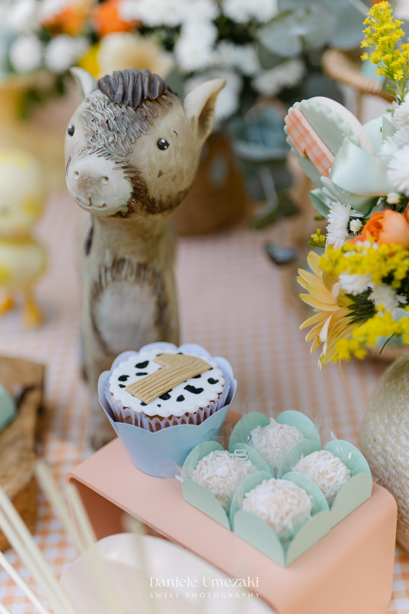 Fotografia e vídeo do aniversário de 1 ano dos gêmeos Antônio e Augusto no Espaço Recanto Sapeka, em Mogi das Cruzes, com decoração da Cerejeira Decora e registros realizados por Dani Umezaki
