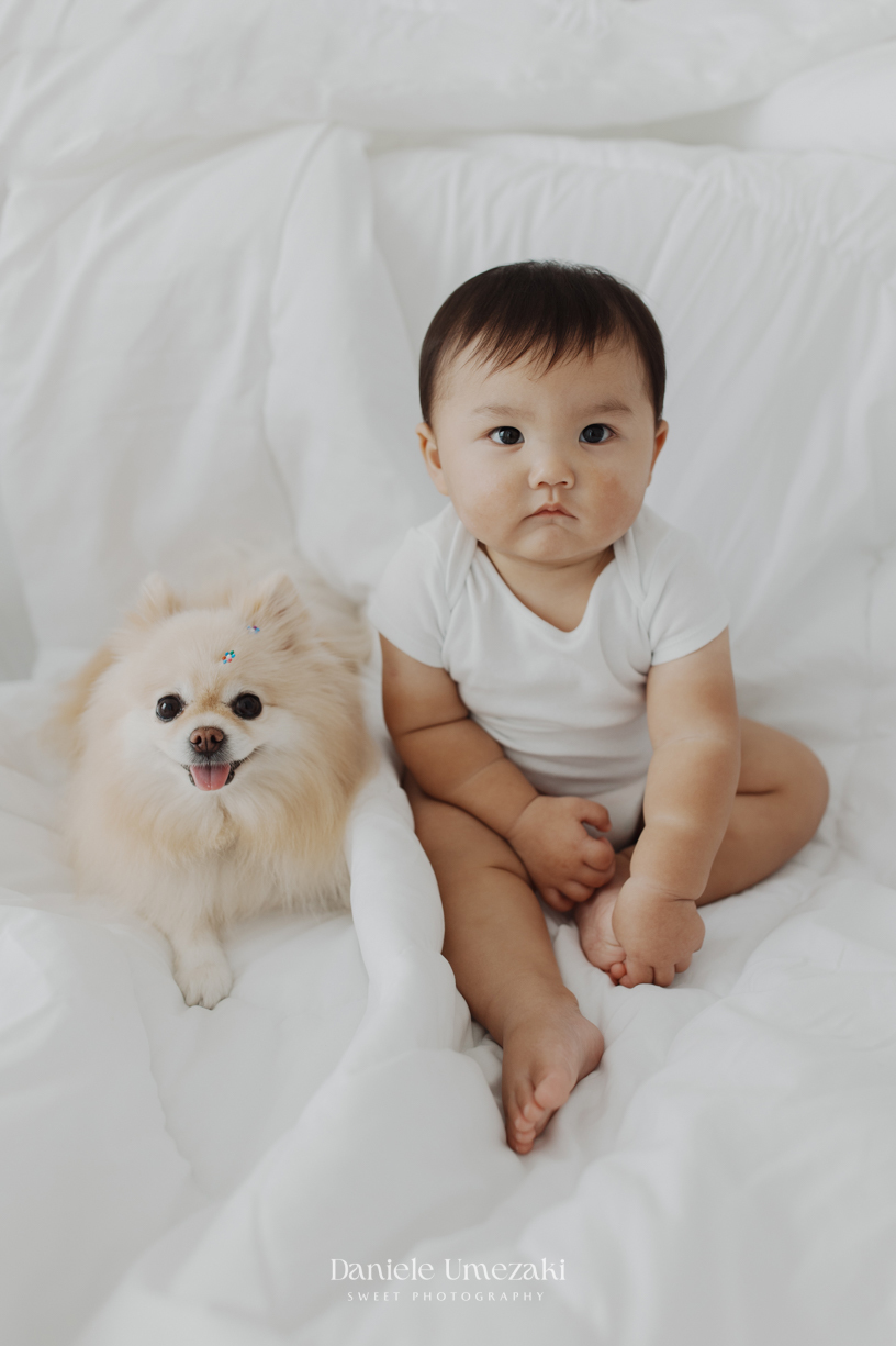 Henry durante ensaio de 1 ano realizado em estúdio em Mogi das Cruzes, com cenário clean, balões e a participação da cachorrinha da família.