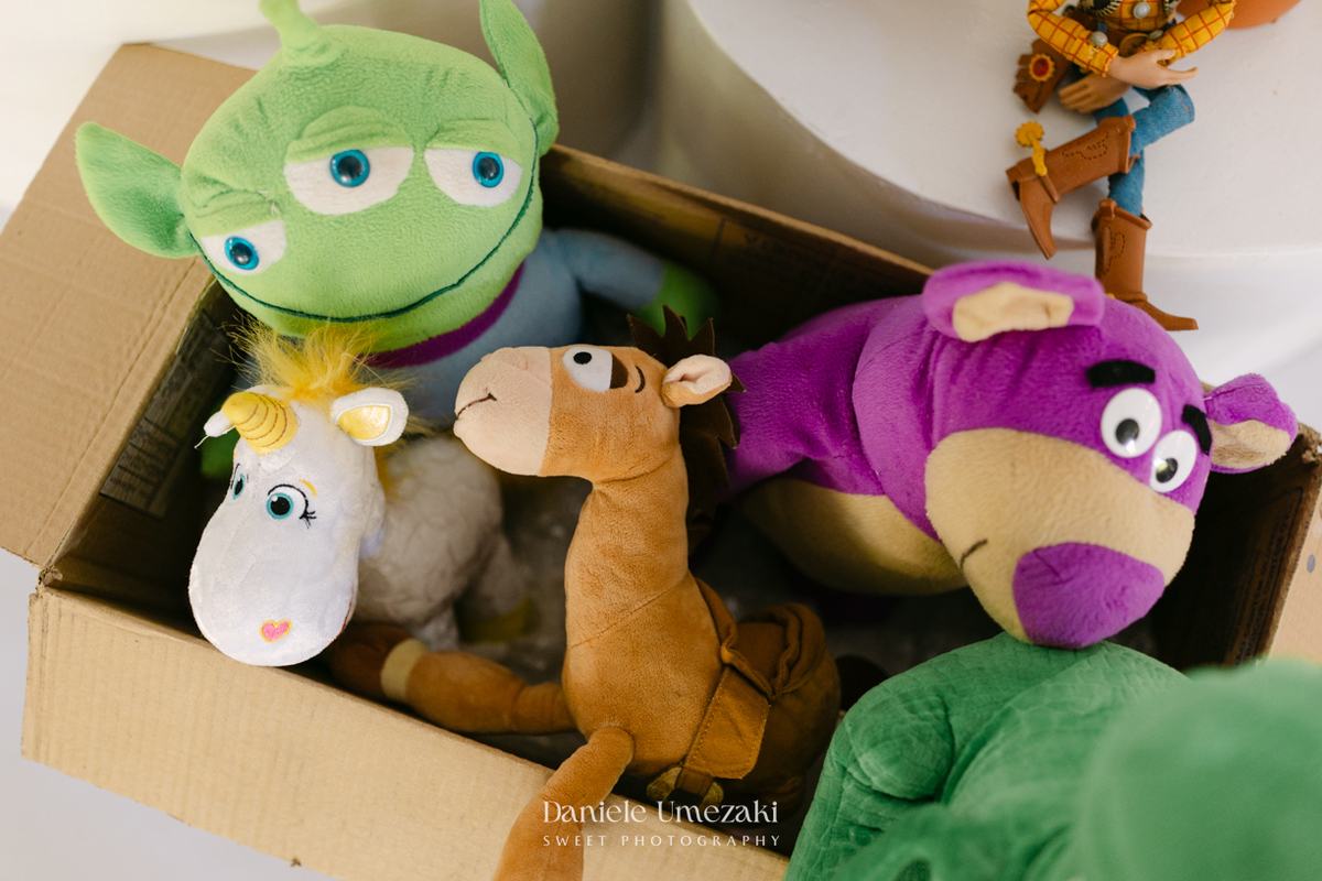 Luiz Felipe comemorando seu primeiro aniversário em Salesópolis, em uma festa com tema Toy Story e decoração da Paloma, da Detalier Decorações.