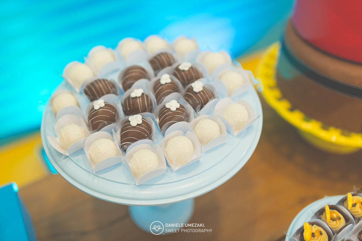 fotografa mogi das cruzes festa infantil decoração festa sapeca daniele umezaki melhor fotografa de mogi festa decoração perfeita